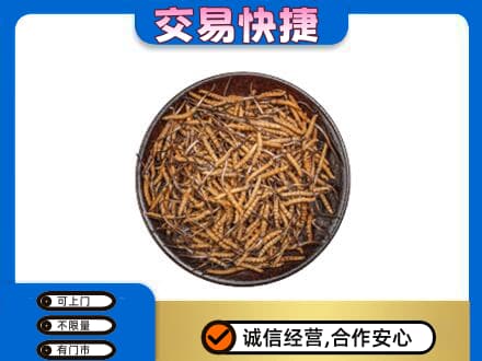 巴彦淖尔市乌拉特中旗高价回收散虫草